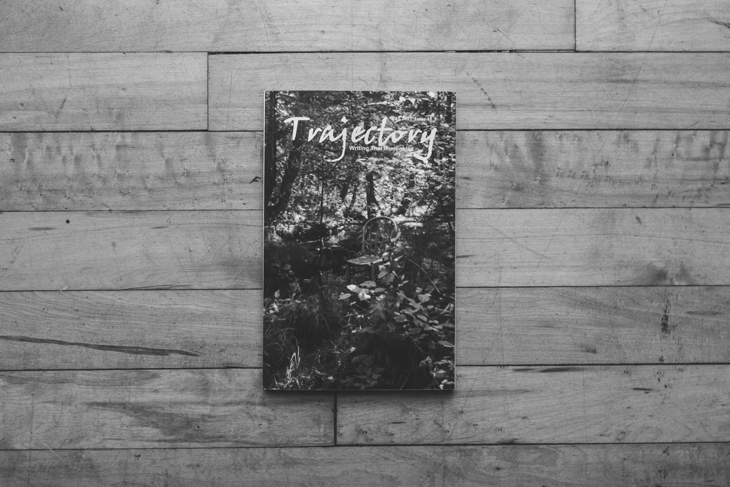 Trajectory Issue 15