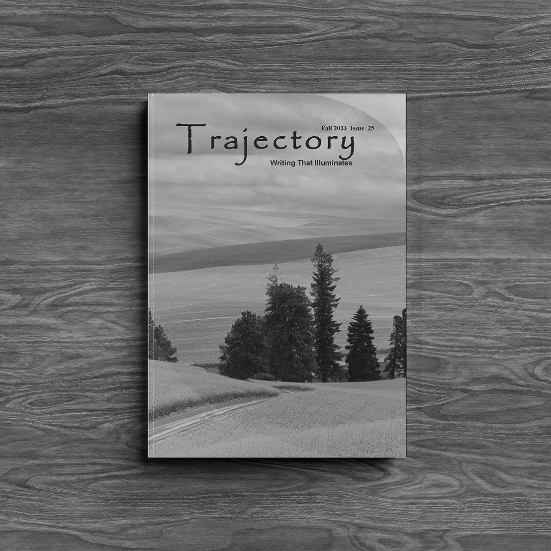 Issue 25 Trajectory
